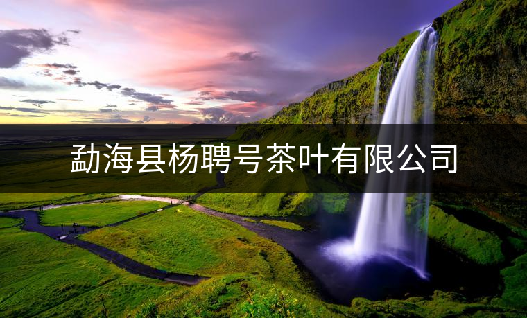 勐?？h楊聘號茶葉有限公司