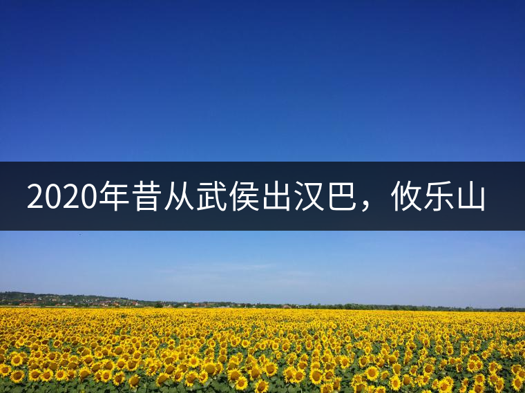 2020年昔從武侯出漢巴，攸樂山中只種茶。-易武中聘號