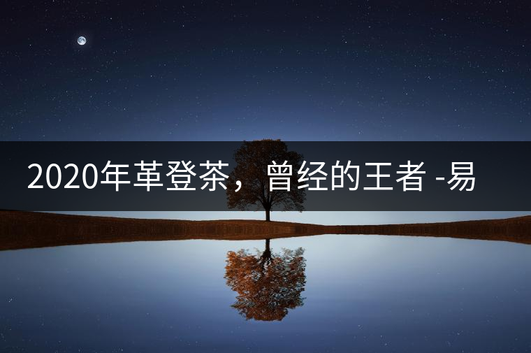2020年革登茶，曾經(jīng)的王者 -易武中聘號(hào)