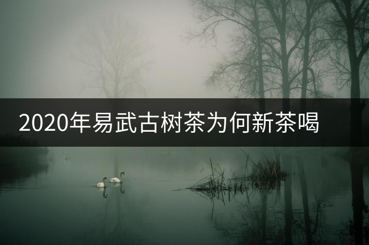 2020年易武古樹茶為何新茶喝時(shí)淡卻越放越濃？-易武中聘號(hào)