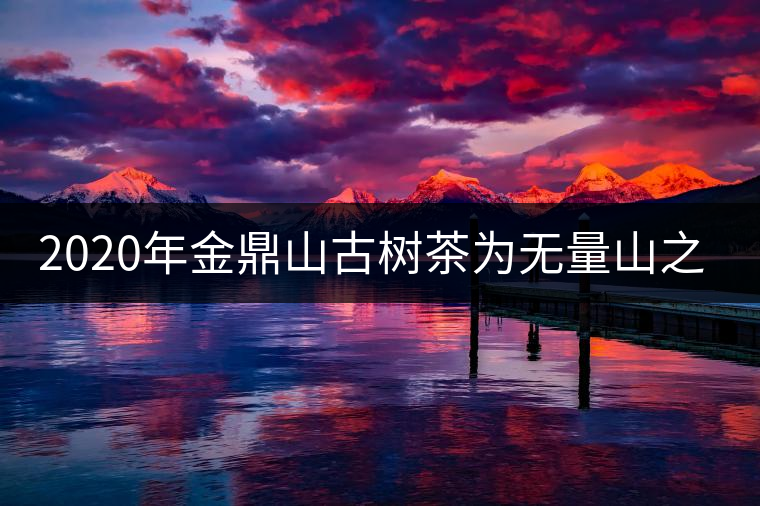 2020年金鼎山古樹茶為無量山之魂 -易武中聘號
