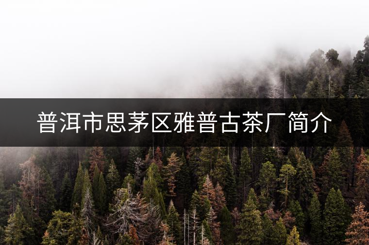 普洱市思茅區(qū)雅普古茶廠簡介 普洱市思茅區(qū)雅普古茶廠簡介