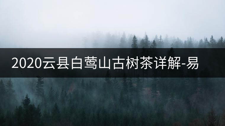 2020云縣白鶯山古樹茶詳解-易武中聘號(hào)