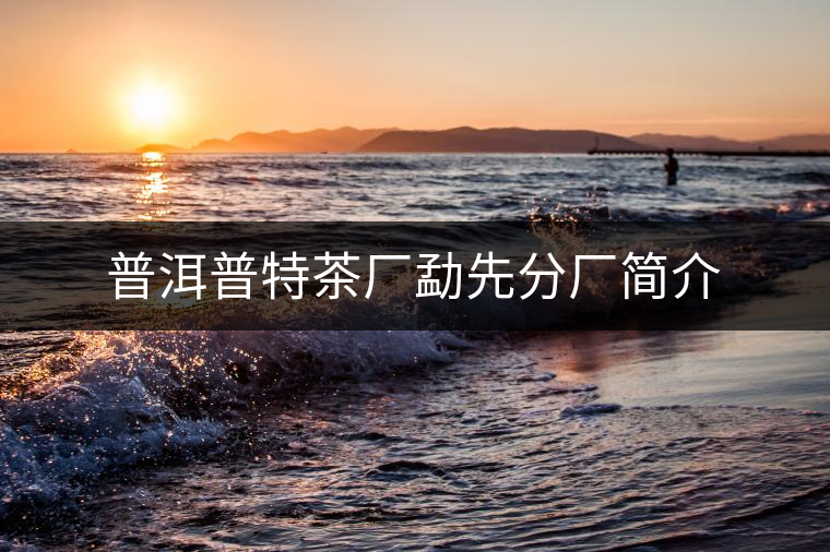 普洱普特茶廠勐先分廠簡介
