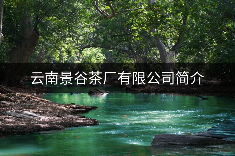 云南景谷茶廠有限公司簡(jiǎn)介