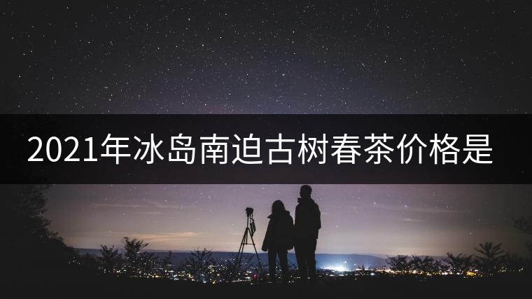 2021年冰島南迫古樹春茶價格是多少？