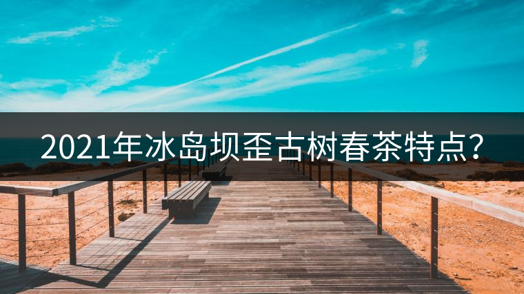 2021年冰島壩歪古樹春茶特點(diǎn)？