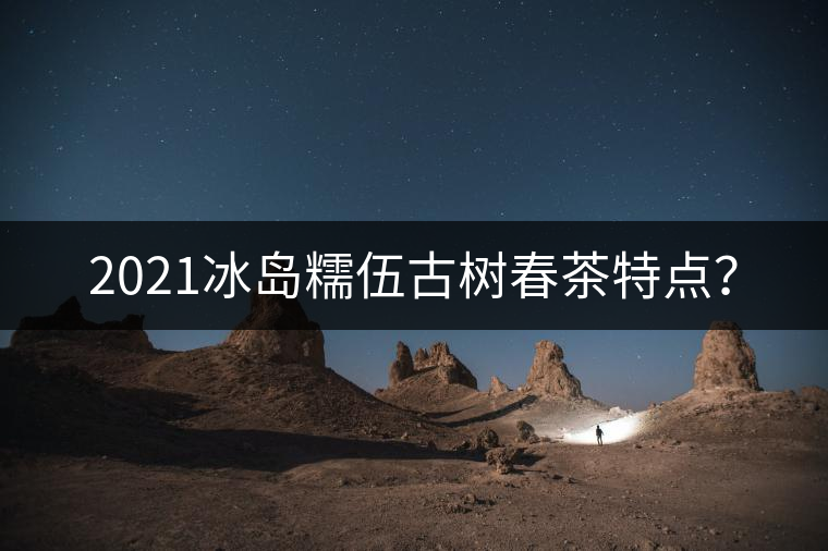 2021冰島糯伍古樹春茶特點(diǎn)？