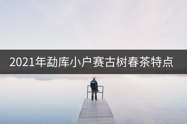 2021年勐庫小戶賽古樹春茶特點(diǎn)？