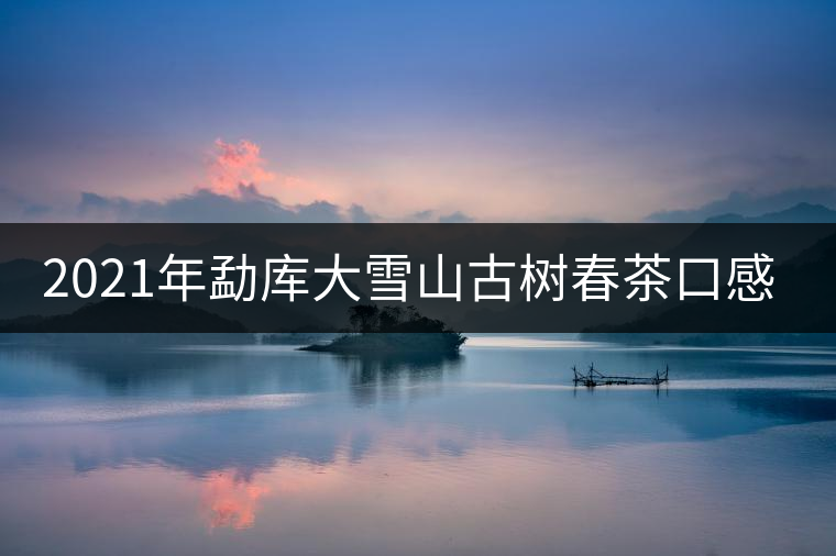 2021年勐庫大雪山古樹春茶口感特點？