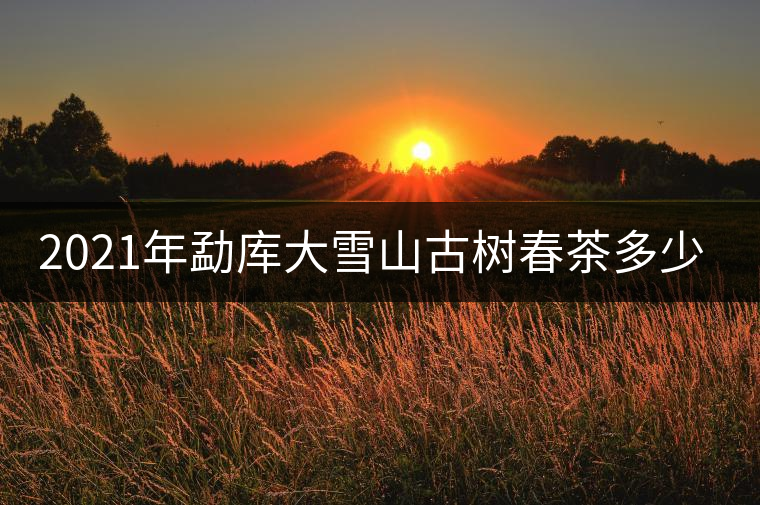 2021年勐庫大雪山古樹春茶多少錢一公斤？