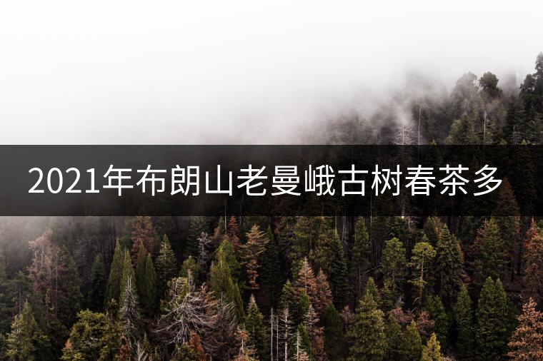 2021年布朗山老曼峨古樹春茶多少錢一公斤？