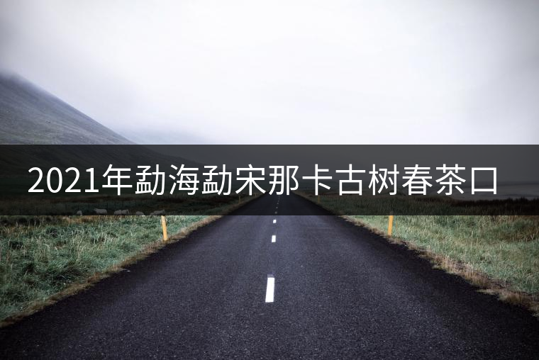 2021年勐海勐宋那卡古樹春茶口感？
