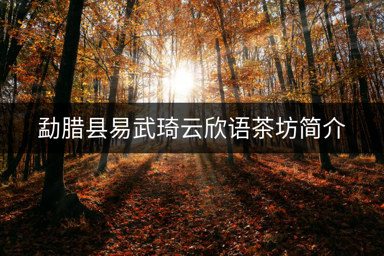 勐臘縣易武琦云欣語茶坊簡(jiǎn)介