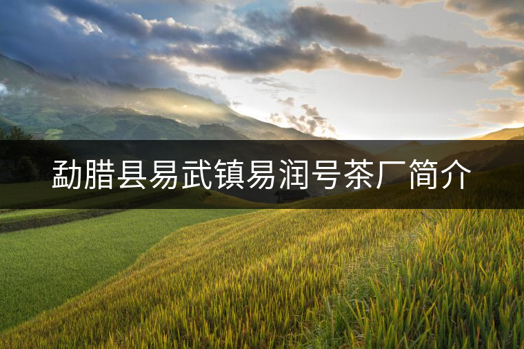 勐臘縣易武鎮(zhèn)易潤號茶廠簡介 勐臘縣易武鎮(zhèn)易潤號茶廠簡介