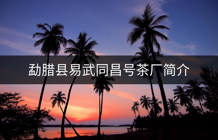 勐臘縣易武同昌號茶廠簡介