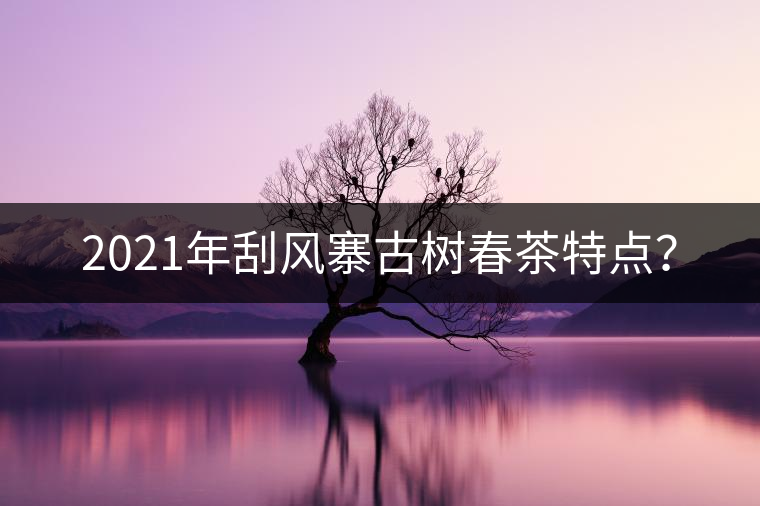 2021年刮風(fēng)寨古樹春茶特點？
