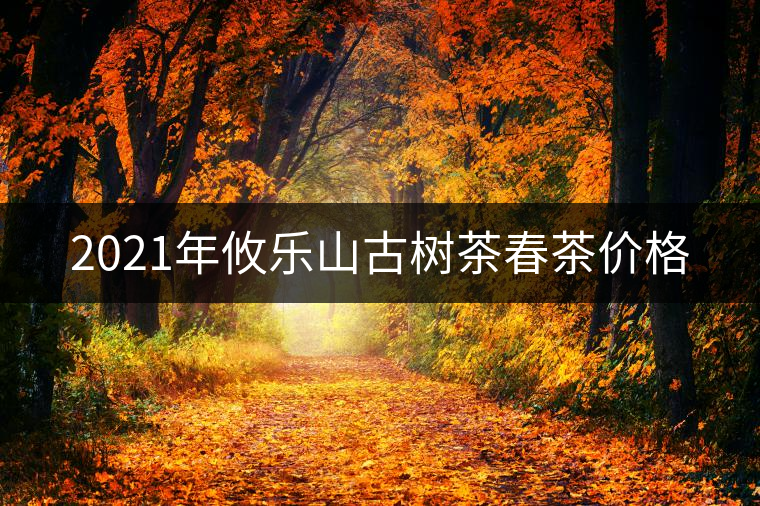 2021年攸樂(lè)山古樹茶春茶價(jià)格