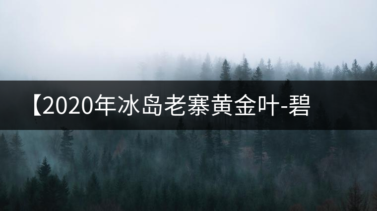 【2020年冰島老寨黃金葉-碧波蕩漾一抹香，輕啜半盞甘若露。