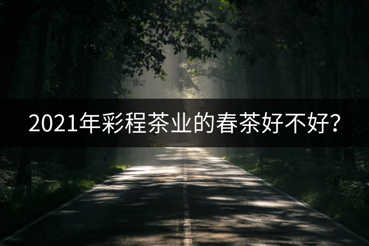 2021年彩程茶業(yè)的春茶好不好？