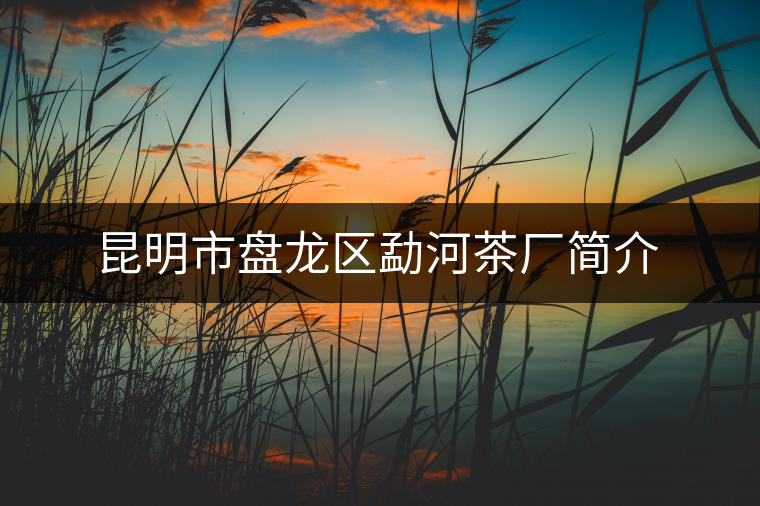 昆明市盤(pán)龍區(qū)勐河茶廠簡(jiǎn)介 昆明市盤(pán)龍區(qū)勐河茶廠簡(jiǎn)介