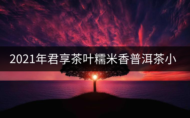 2021年君享茶葉糯米香普洱茶小沱茶餅口感好嗎？