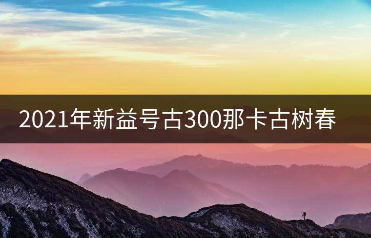 2021年新益號(hào)古300那卡古樹春茶口感怎么樣？
