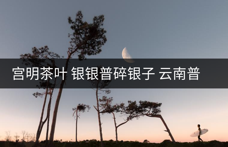 宮明茶葉 銀銀普碎銀子 云南普洱茶熟茶易武古樹糯米香老茶頭好喝嗎? 宮明茶葉 銀銀普碎銀子 云南普洱茶熟茶易武古樹糯米香老茶頭好喝嗎?