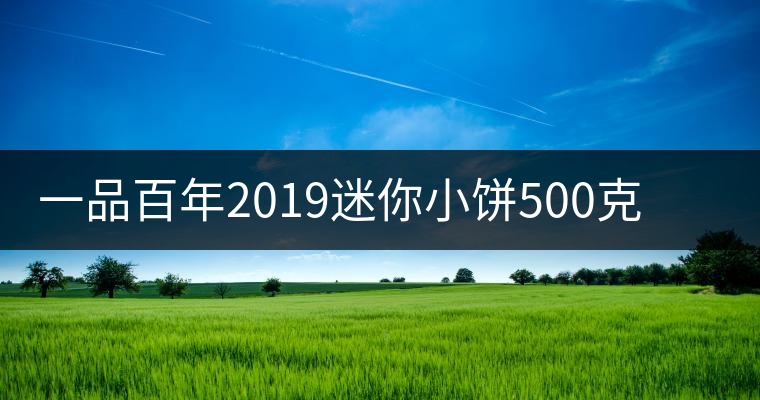 一品百年2019迷你小餅500克古樹(shù)生茶品質(zhì)好不好？