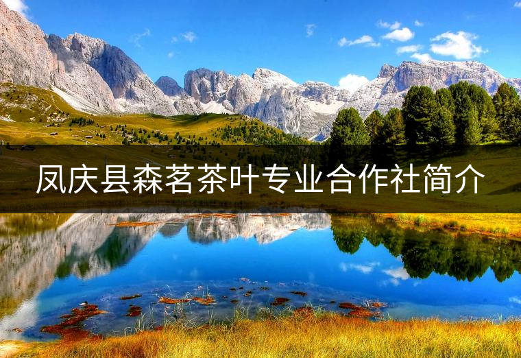 鳳慶縣森茗茶葉專業(yè)合作社簡介