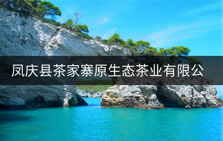 鳳慶縣茶家寨原生態(tài)茶業(yè)有限公司簡介 鳳慶縣茶家寨原生態(tài)茶業(yè)有限公司簡介