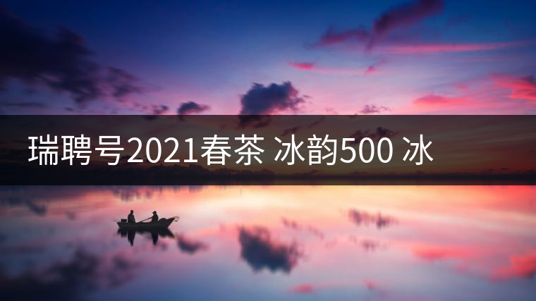 瑞聘號(hào)2021春茶 冰韻500 冰島頭春古樹(shù)茶口感好不好？