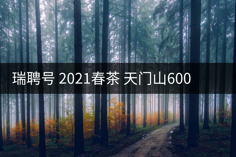 瑞聘號 2021春茶 天門山600 頭春古樹口感怎么樣？