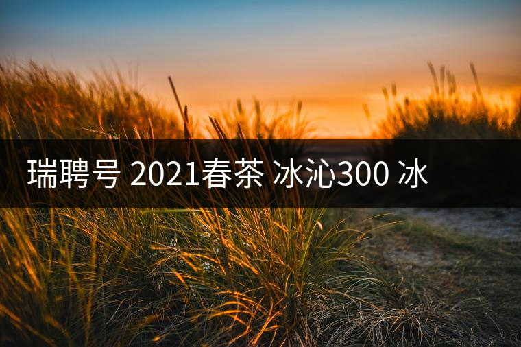 瑞聘號 2021春茶 冰沁300 冰島頭春古樹茶好喝嗎？