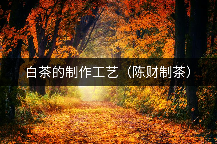 白茶的制作工藝(陳財制茶) 白茶的制作工藝(陳財制茶)