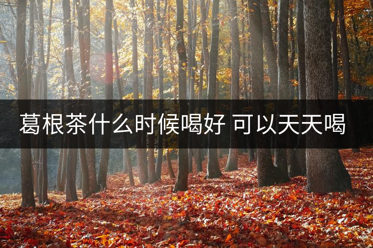 葛根茶什么時(shí)候喝好 可以天天喝嗎