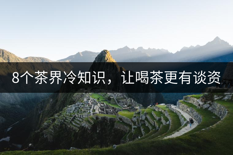 8個(gè)茶界冷知識(shí)，讓喝茶更有談資！