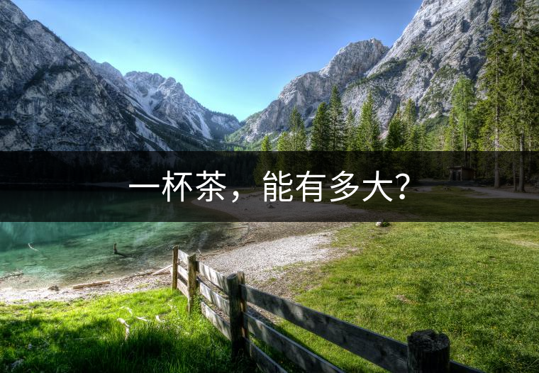 一杯茶，能有多大？