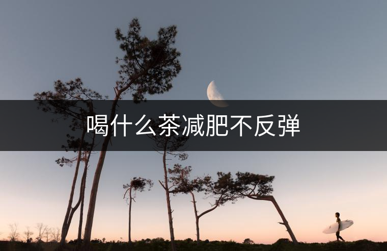 喝什么茶減肥不反彈