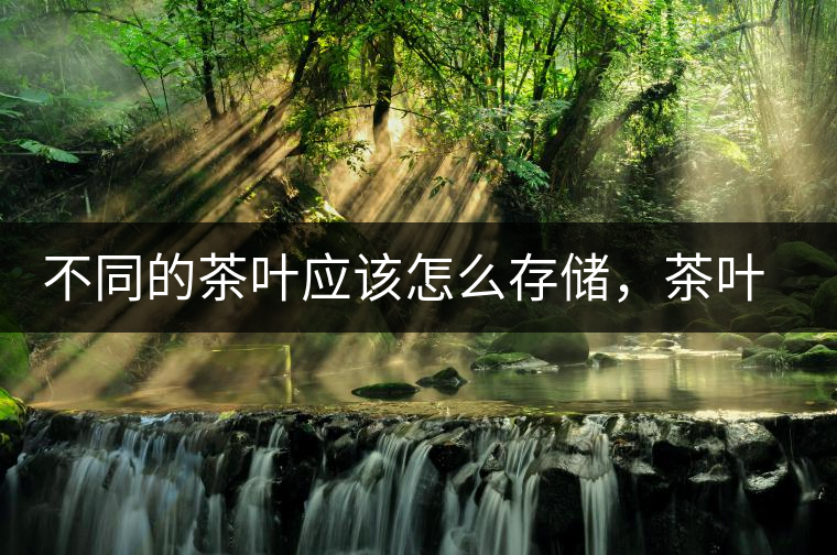 不同的茶葉應該怎么存儲，茶葉罐又該如何選擇？