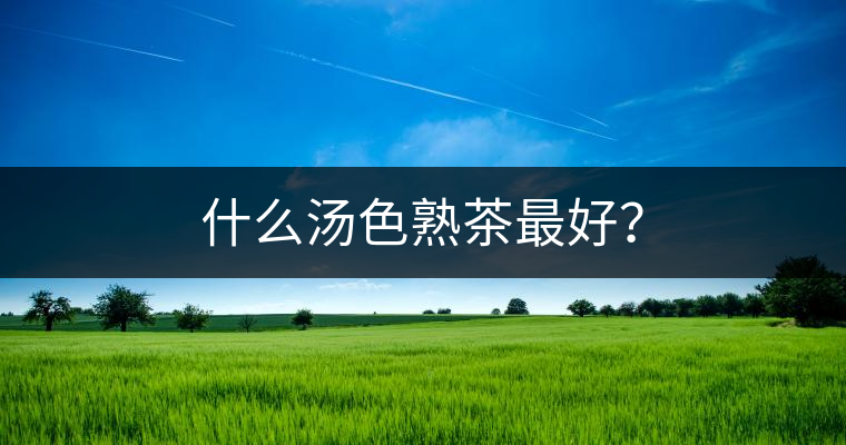 什么湯色熟茶最好？