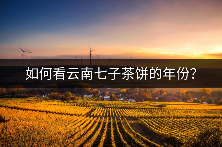 如何看云南七子茶餅的年份？