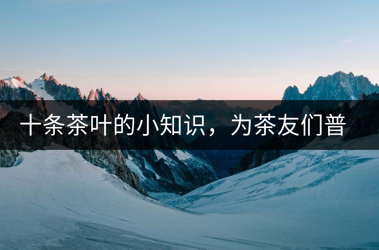 十條茶葉的小知識，為茶友們普及掃盲