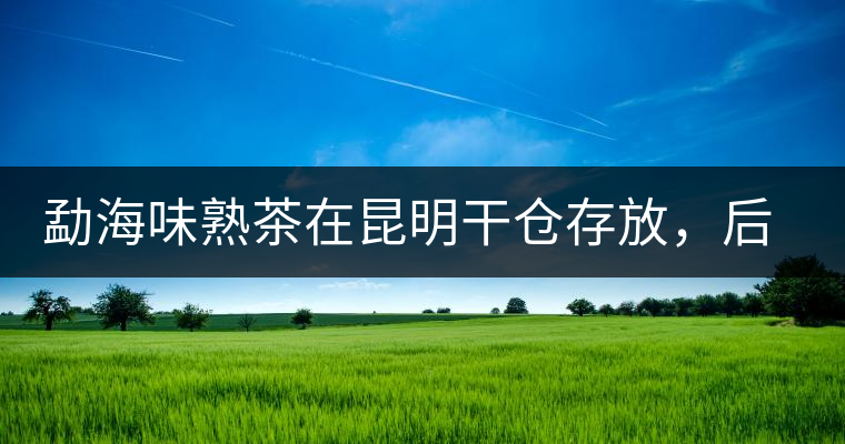 勐海味熟茶在昆明干倉存放，后期轉(zhuǎn)化如何呢？