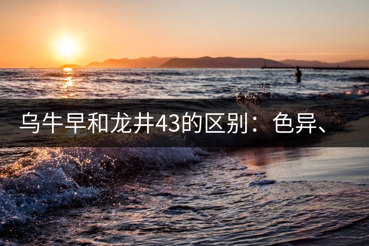 烏牛早和龍井43的區(qū)別：色異、香異、形異