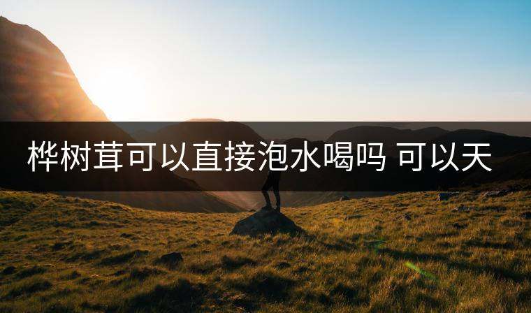 樺樹(shù)茸可以直接泡水喝嗎 可以天天喝嗎