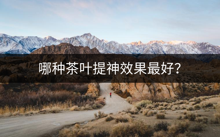 哪種茶葉提神效果最好？