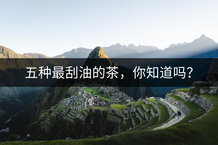 五種最刮油的茶，你知道嗎？