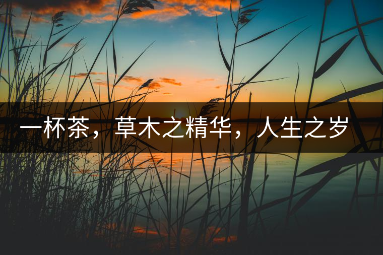 一杯茶，草木之精華，人生之歲月