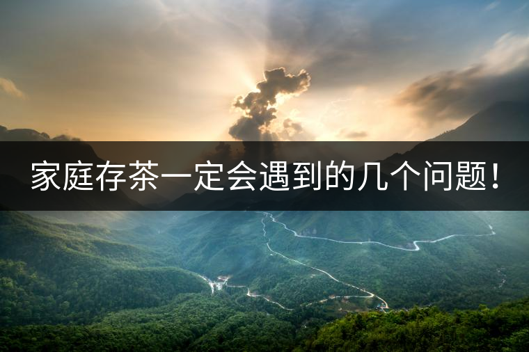 家庭存茶一定會遇到的幾個問題！